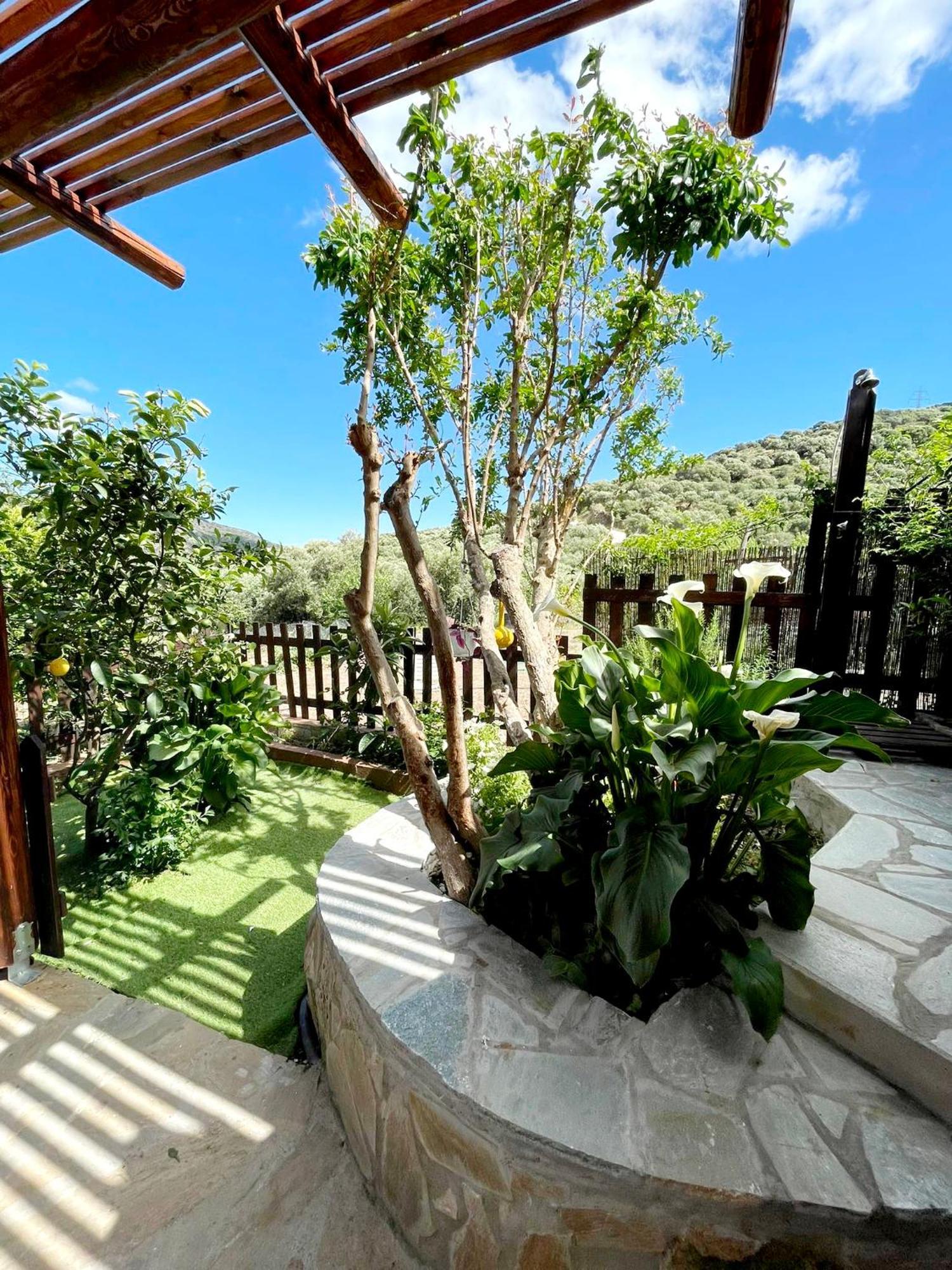 Platipodi Stone House Nikithianos Exterior foto